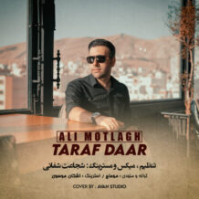 آهنگ جدید علی مطلق به نام طرفدار